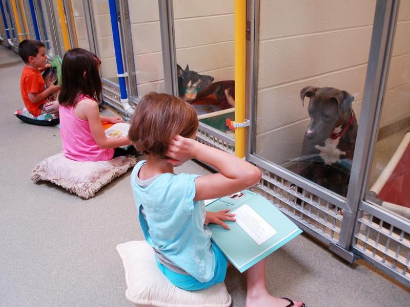 kids-read-shelter-dogs-human-society-of-missouri-3.jpg