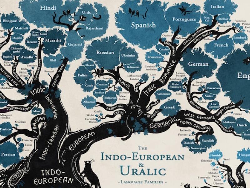 linguistic-tree.jpeg