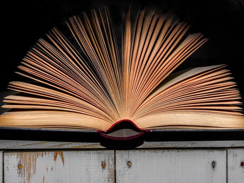 literature-3288098_960_720.jpg