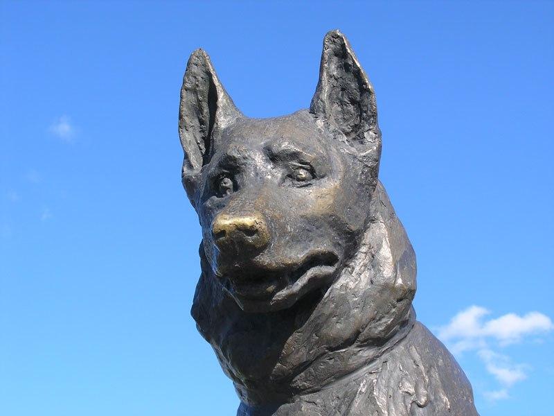 loyal-dog-monument-in-tolyatti-russia-2.jpg