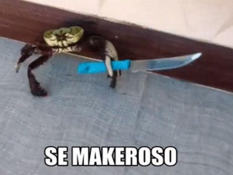makeroso.jpg