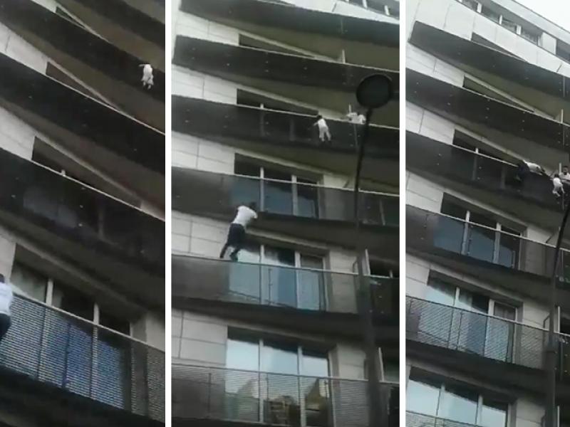 mamadou-gassama-video-man-climbs-building-paris-save-child.jpg