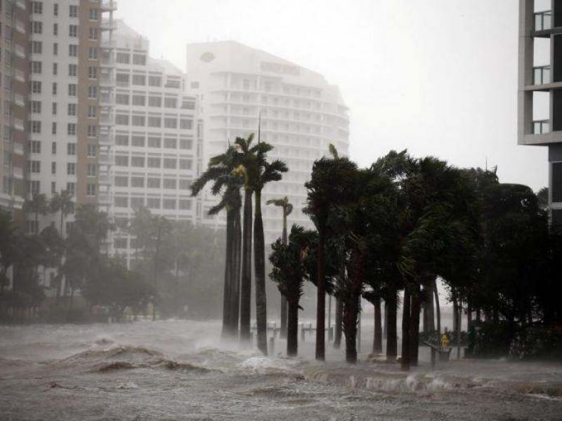 miami-irma-768x512.jpg