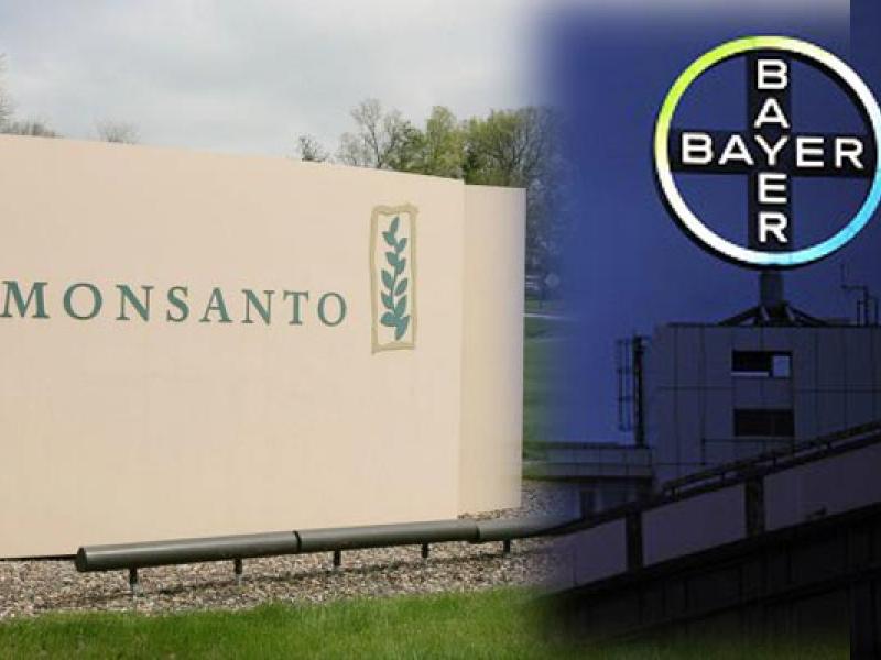monsanto-bayer-1.jpg