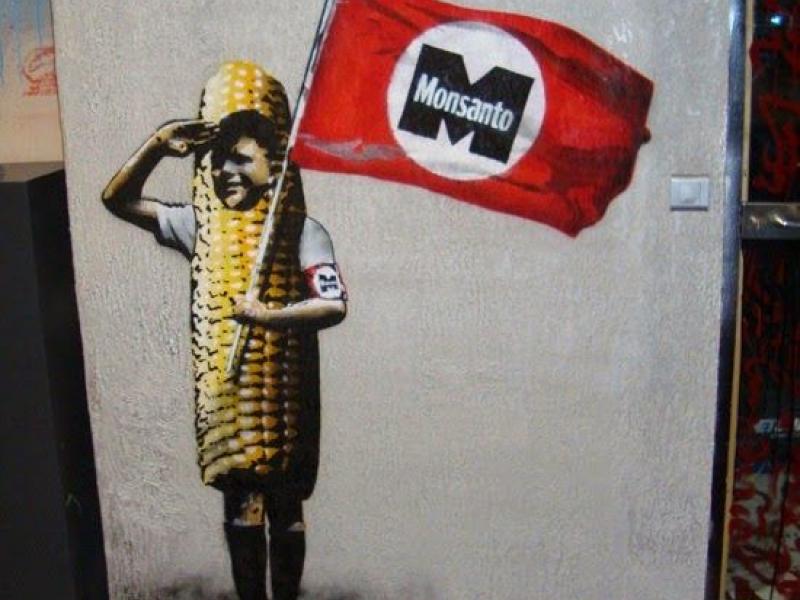 monsanto212.jpg