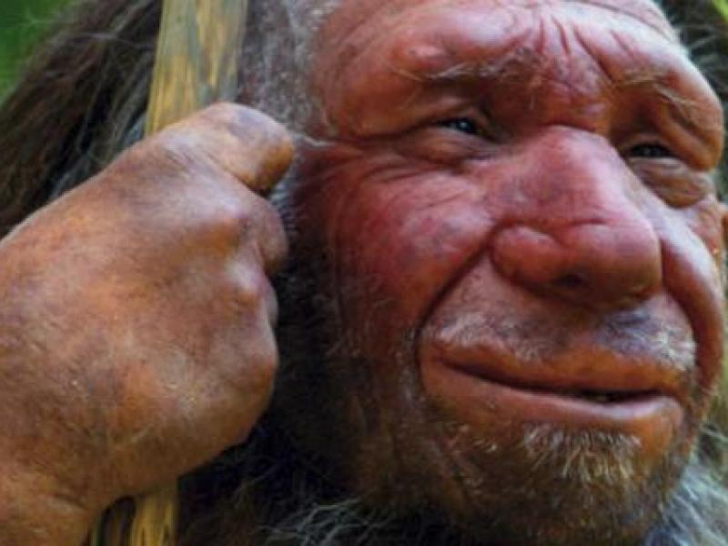 neandertal-660.jpg