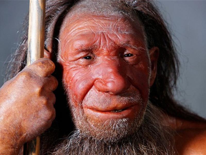 neanderthal_0.jpg