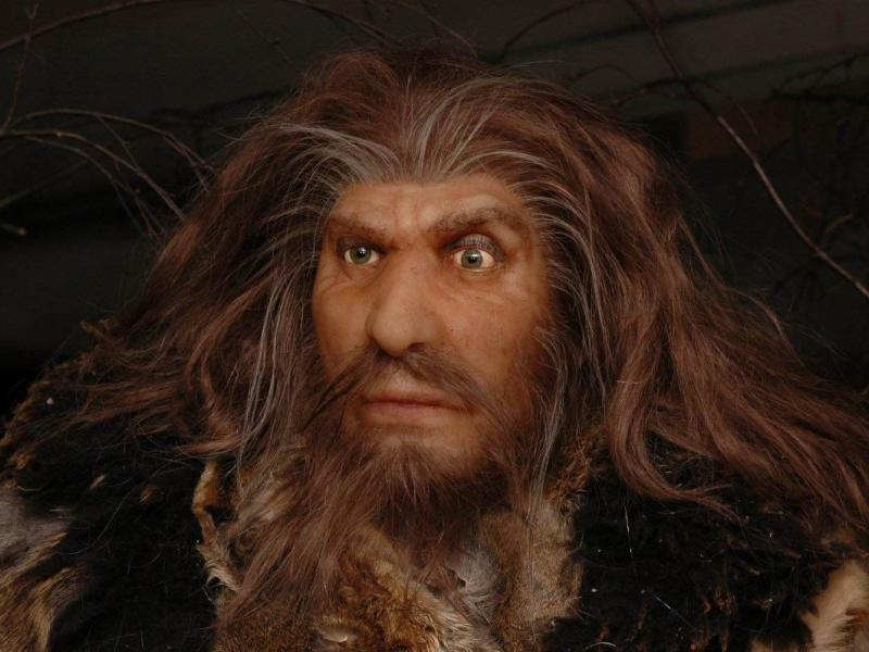 neantertal_0.jpg