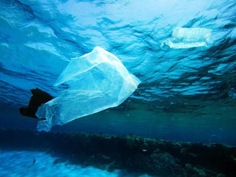 ocean-plastic-garbage-patch.jpg