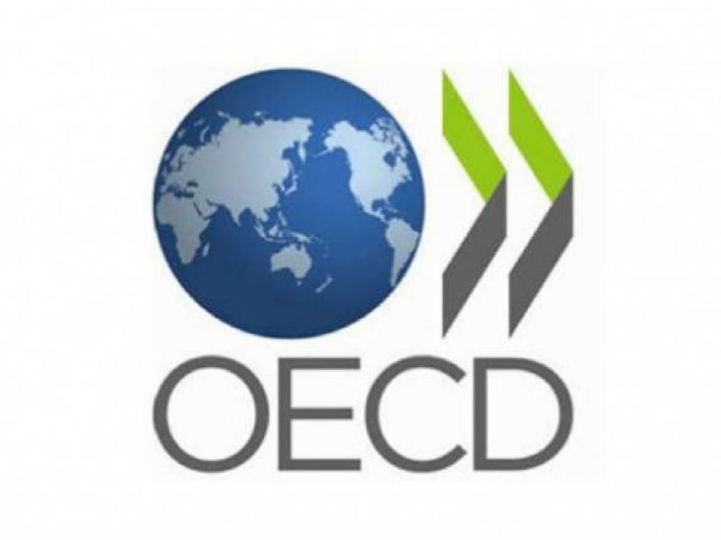 oosa-oecd-logo.jpg