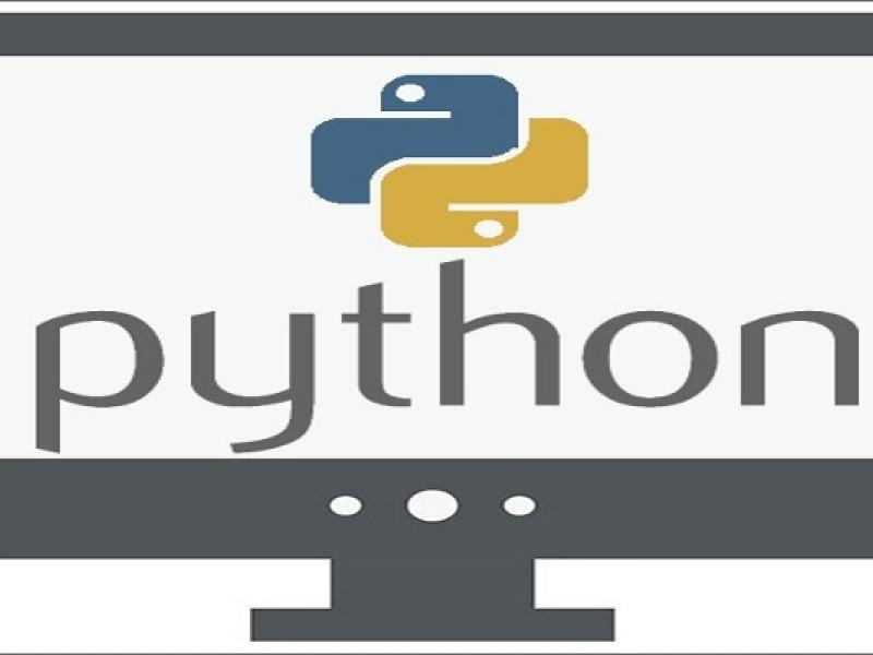 python_alfavita_0.jpg