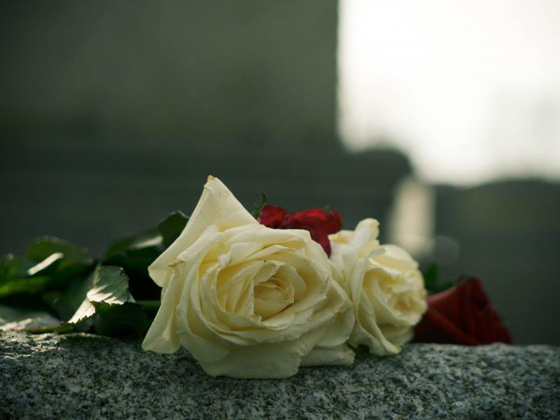 rose-on-grave_1_0.jpg