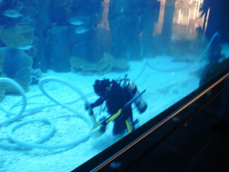 rsz_dubai_aquarium_2.jpg