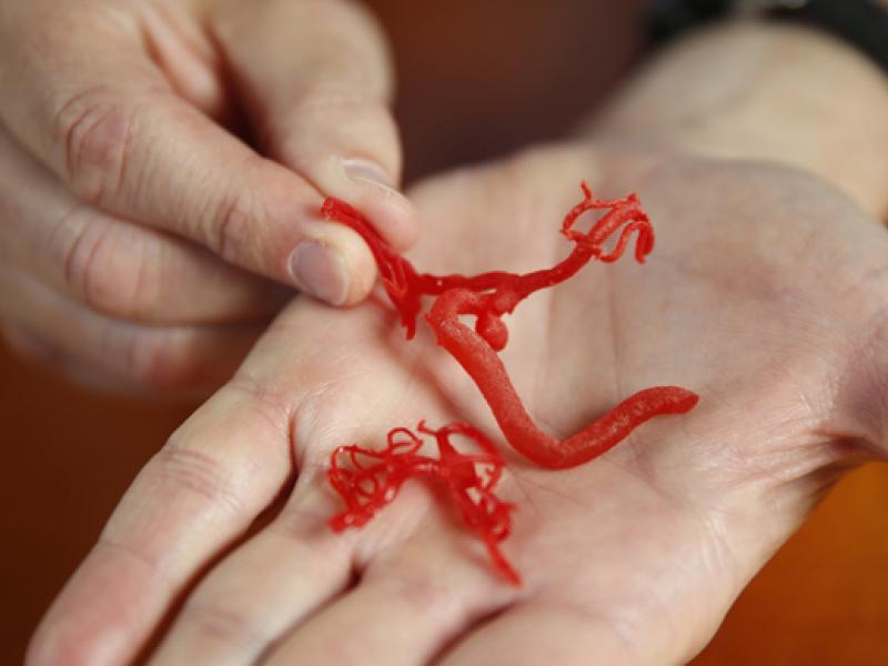 scientists-can-now-3d-print-working-blood-vessels-.jpg