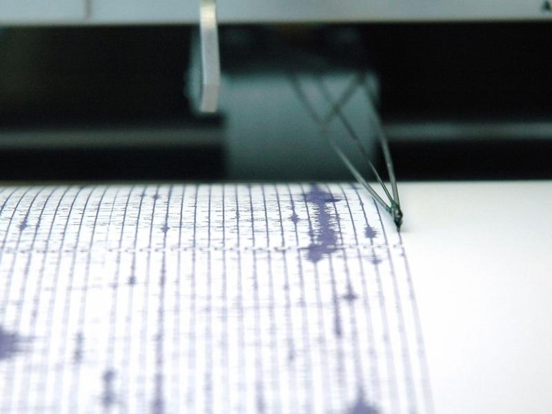 seismograph.jpg
