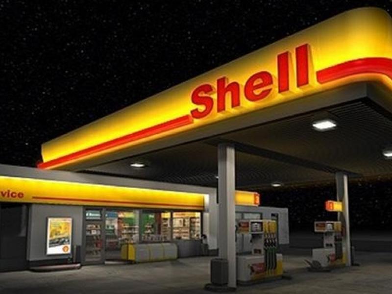 shell.jpg