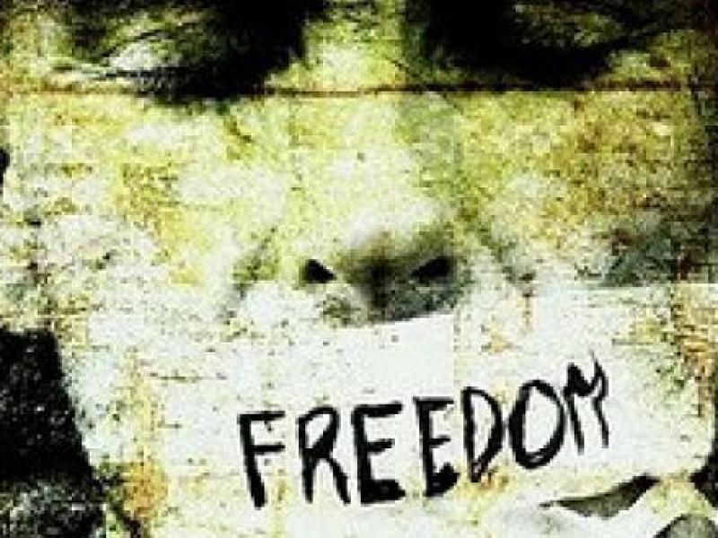 speech-freedom.jpg