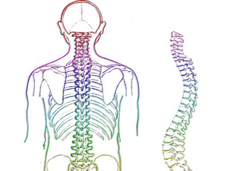 spine-257870_960_720.jpg