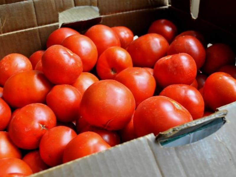 tomatoes-box.jpg