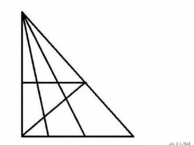 trigono.jpg