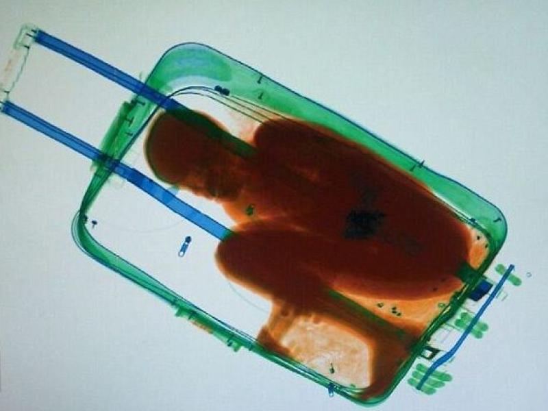 tsa_0.jpg