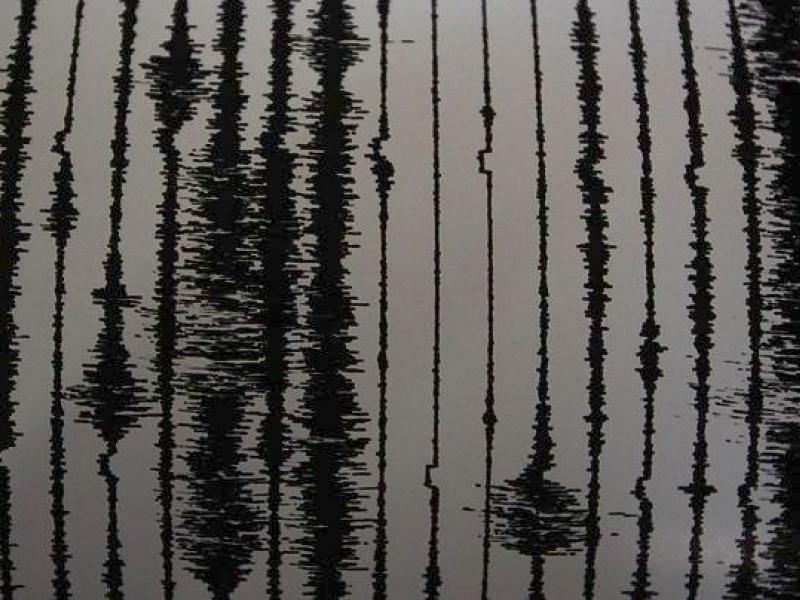 w31-75109seismograph.jpg