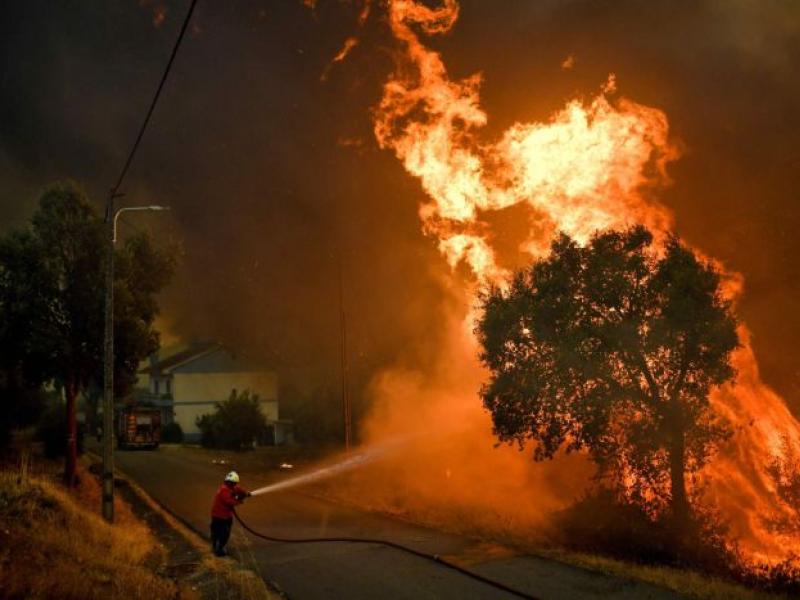 wildfires_portugal.jpg