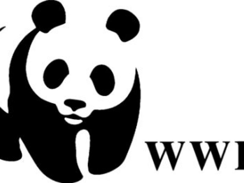 wwf-hellas-eco2nomy.jpg
