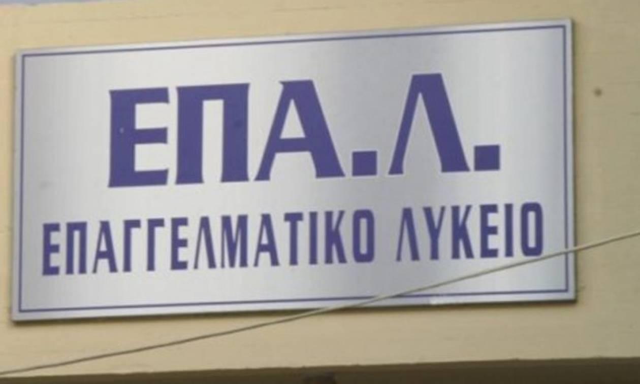 Η αλήθεια για την διάταξη του ηλικιακού περιορισμού στις εγγραφές μαθητών στα ΕΠΑΛ 