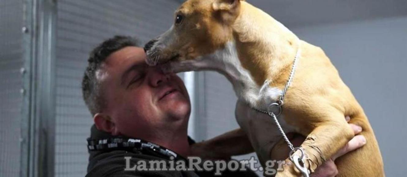 Λαμία: Ρίσκαρε τη ζωή του για να σώσει 35 σκυλιά από τις πλημμύρες |  Alfavita
