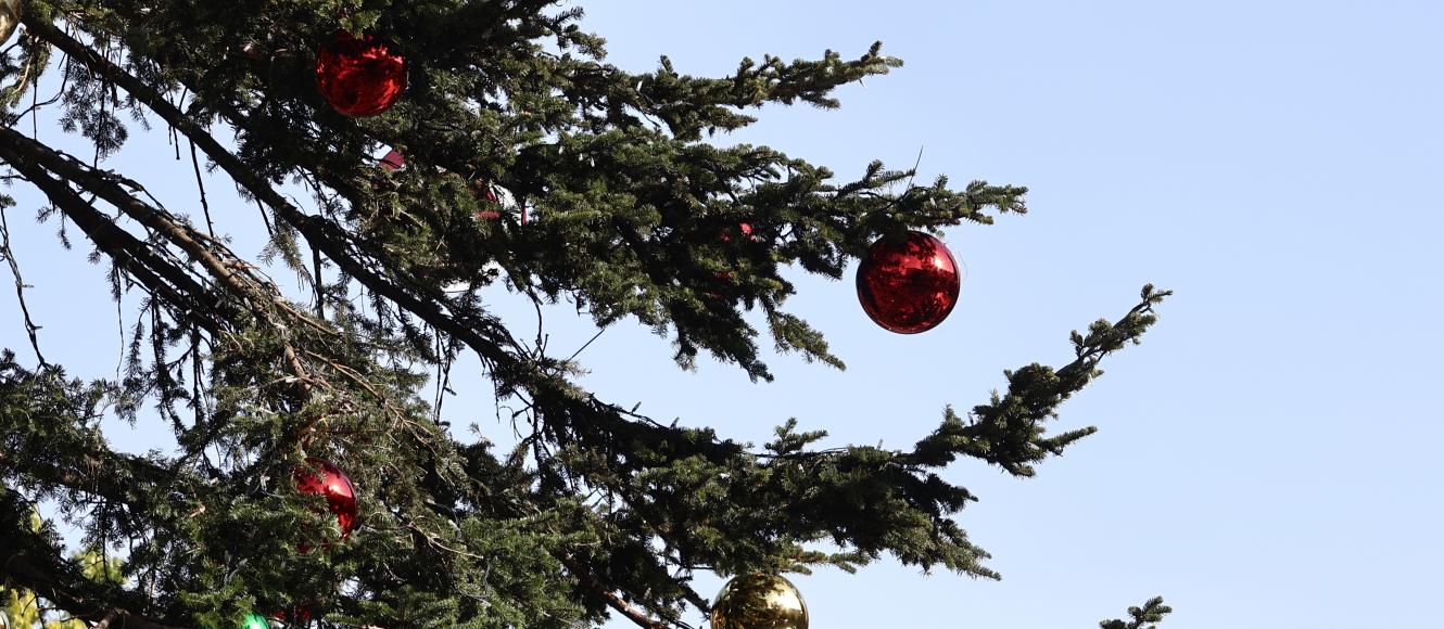 Χριστούγεννα καιρός