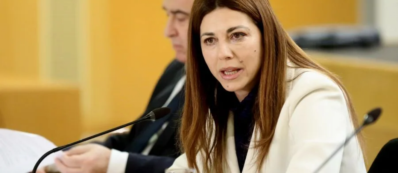 συνέντευξη τύπου