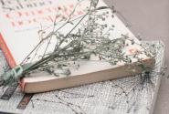 biblia βιβλία