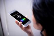 voice-mobile