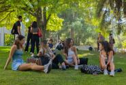 campus