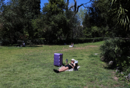picnic