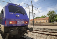 trainose