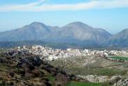 ανι