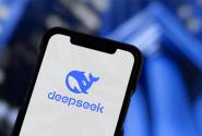 deepseek 2025