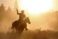 cowboy