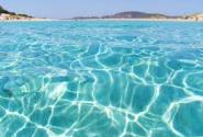 paralia