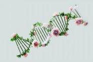 DNA