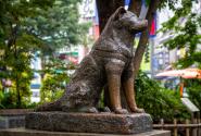 hajiko