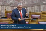 Νίκος Παπαϊωάννου, Βουλή