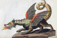 drakos