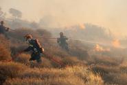 Φωτιά στην Ιεράπετρα. Πυροσβέστες σε δάσος σβήνουν πυρκαγιά