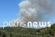Φωτιά στην Ηλεία