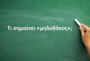 Μηλοδόκος