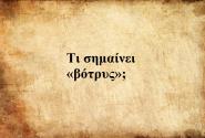 Βότρυς