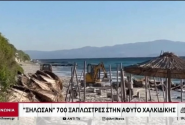 Οργανωμένη παραλία στην Χαλκιδική